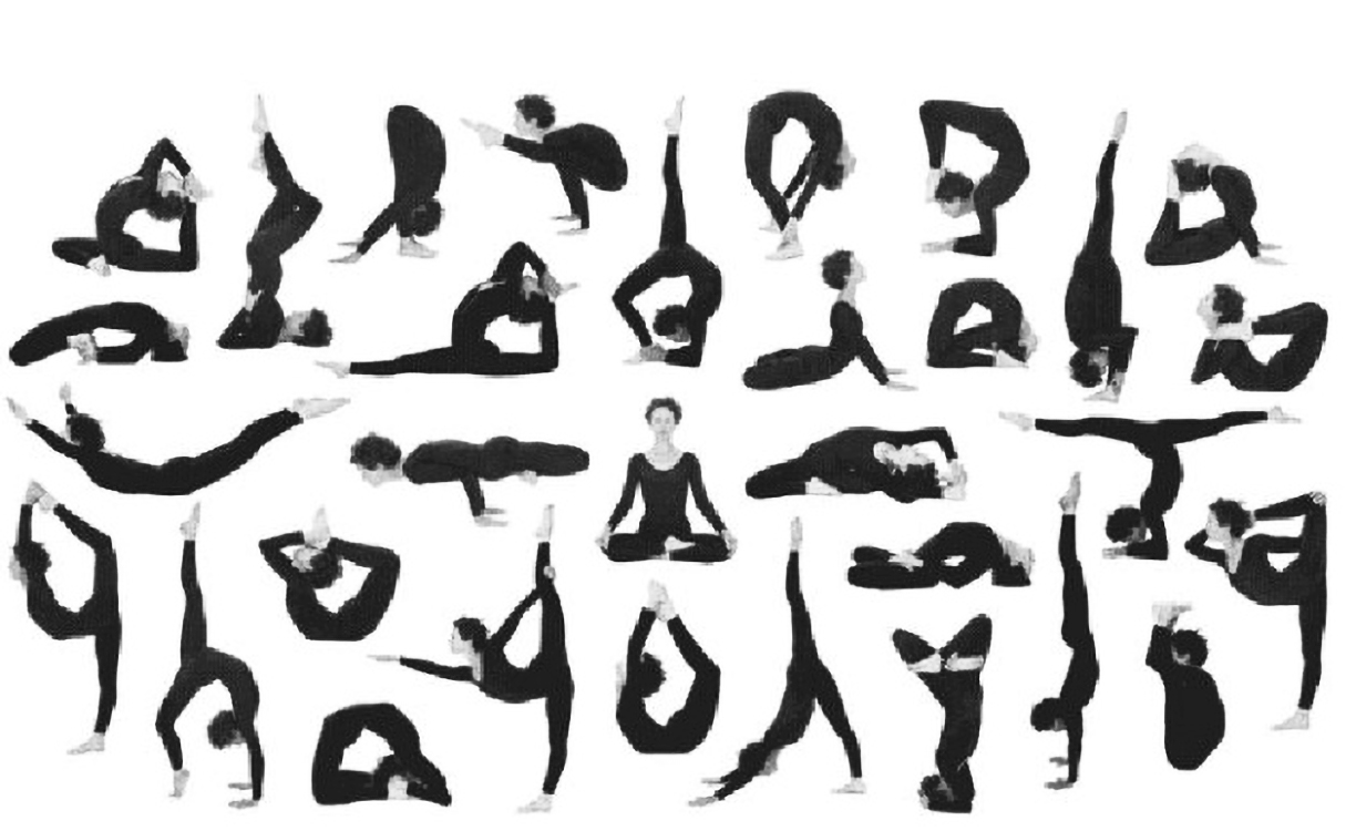 hatha vinyasa yoga sequences